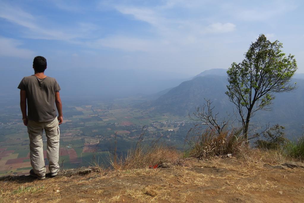 Jungleparadiso Homestay Thekkady Exteriör bild
