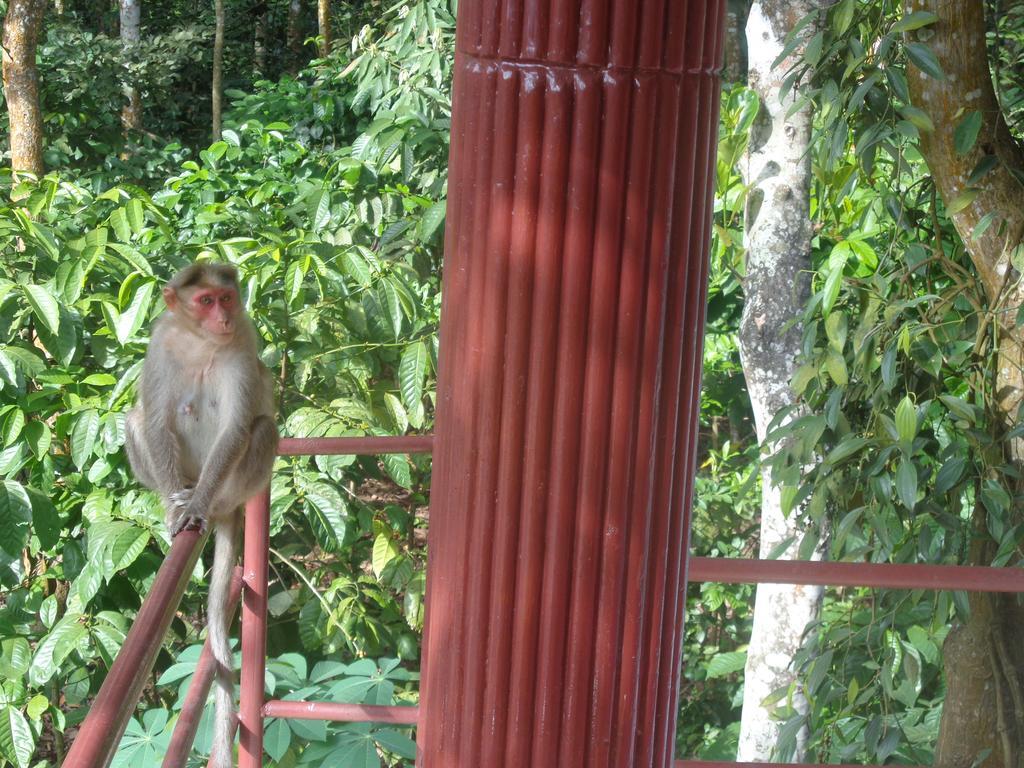 Jungleparadiso Homestay Thekkady Exteriör bild