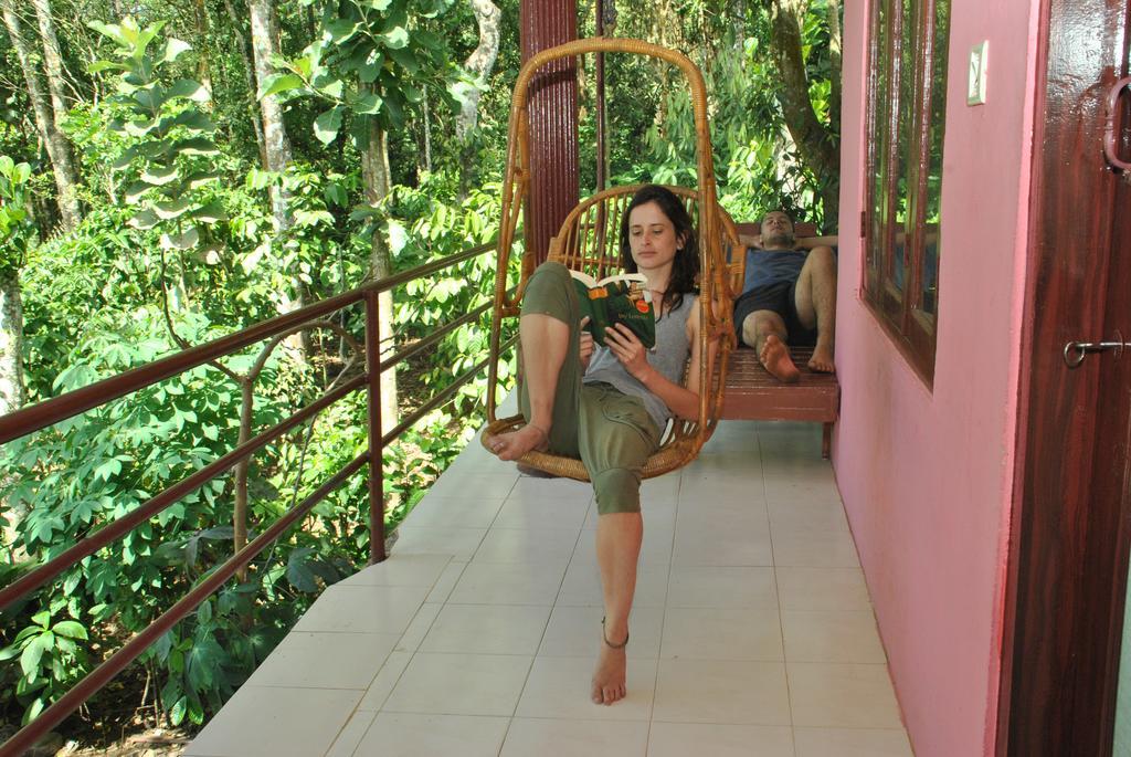 Jungleparadiso Homestay Thekkady Exteriör bild