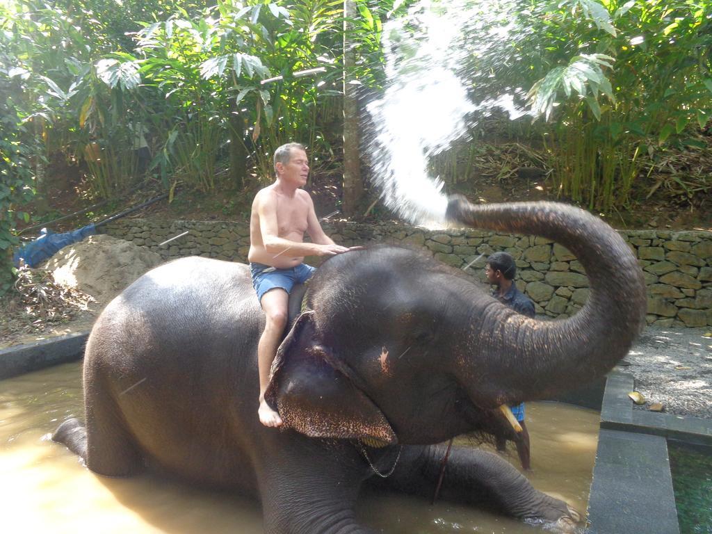 Jungleparadiso Homestay Thekkady Exteriör bild