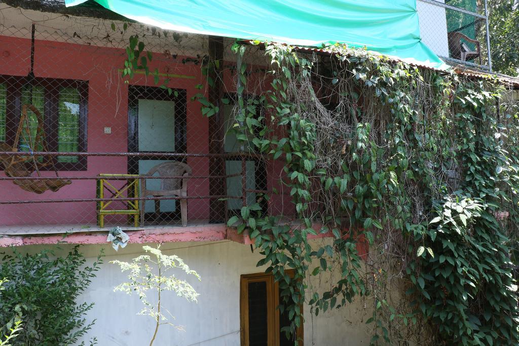 Jungleparadiso Homestay Thekkady Exteriör bild