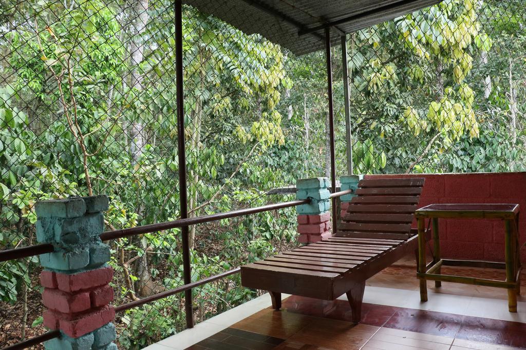 Jungleparadiso Homestay Thekkady Exteriör bild