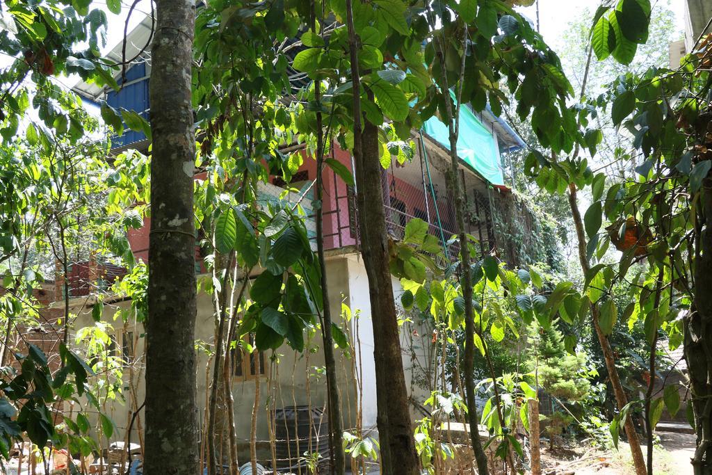 Jungleparadiso Homestay Thekkady Exteriör bild